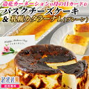 みれい菓 母の日特別セット バスクチーズケーキと札幌カタラーナ L プレーン（計570g）造花つき母の日カード お取り寄せスイーツ 北海道産 バスチー Basque アイス プリン クレームブリュレ 送料無料