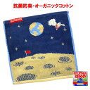 抗菌防臭・オーガニックコットン タオル(宇宙を守るヒーロー(3310) ミニタオル ハンカチ ハンドタオル ウルトラ怪獣 ウルトラマン 丸眞