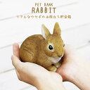 【母の日】PET BANK 「ペットバンク ラビット」 リアルな動物の貯金箱 RABBIT うさぎ ウサギ 小動物 動物 アニマル コインバンク 置物 フィギュア プレゼント ギフト 贈り物