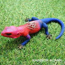 REPTILES MAG 「レインボーアガマ」 リアルな生きもの造形マグネット リアルオブジェ クリップホルダー レッドヘッドアガマ RAINBOW AGAMA マグネット 爬虫類 トカゲ レプタイルズマグ フィギュア fall1