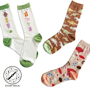 garapago socks 「STUDY HOLIC 靴下」 古生物学/考古学/菌類学 ファッション小物 ソックス コットン ブラウン ベージュ ホワイト 学問 スタディホリック ガラパゴソックス GreenFlash 母の日 遅れてごめんね