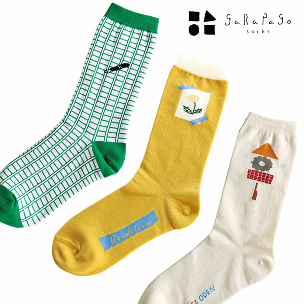 GreenFlash 「garapago socks 靴下」 原稿用紙/Dandelion/ODEN ダンデライオン たんぽぽ タンポポ おでん ソックス ファッション小物 レディース ガラパゴソックス