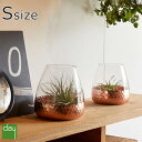 ギフト プレゼント 花瓶 Clay 「 favo ガラスフラワーベース METALLIC PINK Sサイズ 」 花器 テラリウム ドライフラワー グラスブーケ...