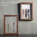 Moemento 「BOTANICAL FRAME 03」オフホワイト/グレー 植物標本 ウォールナット 無垢材 A4 額縁 天然木 ボタニカルフレーム フラワーフレーム 北欧 試験管 ドライフラワー 壁掛け 立て掛け プレゼント ギフト 結婚祝い fall3