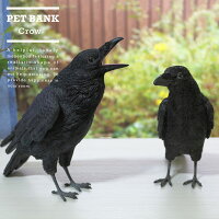 PET BANK 「ペットバンク ジャングルクロウ／キャリオンクロウ」 JUNGLE CROW/CARR...