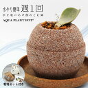 【ポイント5倍】 【送料無料】 植木鉢 「 HACHI アクアプラントポット 丸型 」 110mm 円形 鉢 鉢植え プランター 花 ガーデニング 室内 屋外 ...