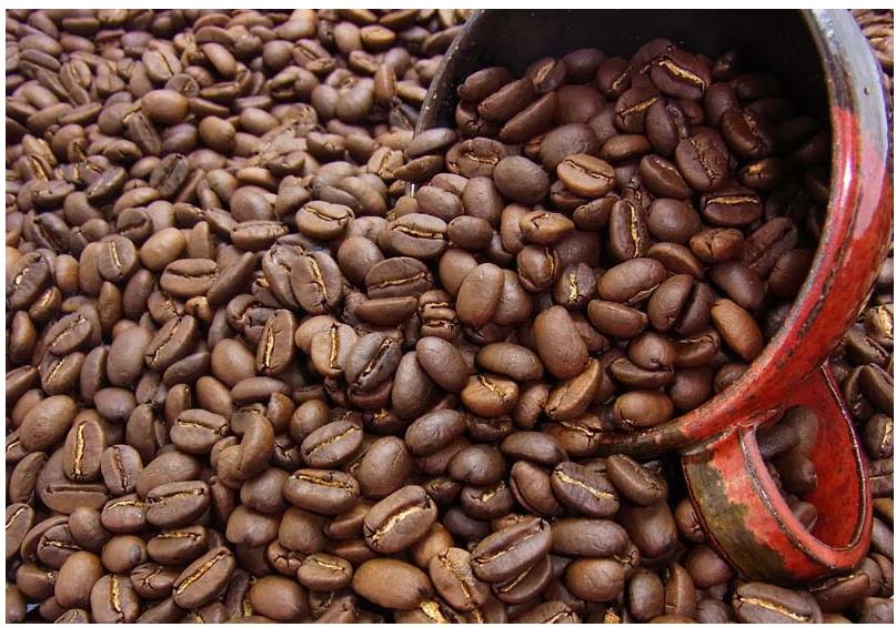 バリ　アラビカ　神山　無農薬栽培コーヒー 200g　≪アントニオコーヒー≫