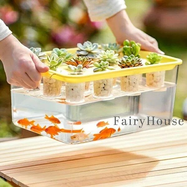 【送料無料】12穴 水耕栽培システム 透明プラスチック製 土不要 野菜?花?の育苗に最適 室内?バルコニーガーデニング 金魚鉢とし