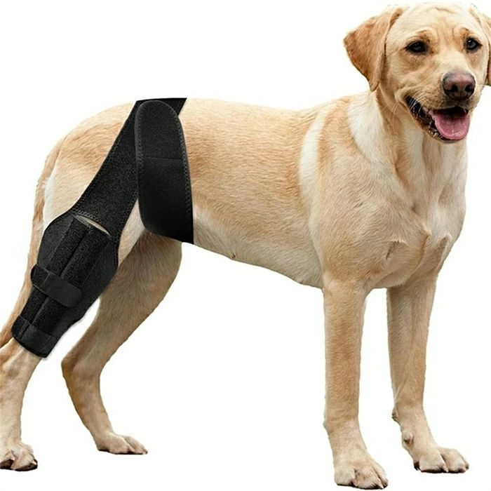 ペット介護用品 膝保護バンド 小型中型大型犬対応 サイズ ブラック単品 傷舐め防止...