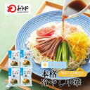 冷し中華【常温・麺・オリジナルの2つのタレ付き】冷やし中華 長崎 九州 お土産 美味しい おいしい 太麺 お取り寄せ 送料無料 夏 お試し 軽食 夜食 時短 手軽 便利 麺 自家用 老舗 お手軽 料理