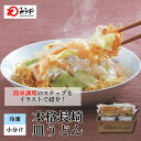 長崎皿うどん 【冷凍・麺・スープ・具付き】皿うどん 箱入 具材たっぷり 家庭 お徳用 国産野菜 100%使用 お土産 お取り寄せ インスタント 長崎 九州 お土産 美味しい 太麺 ギフト プレゼント 焼きそば 麺 お歳暮 みろくや お歳暮ギフト