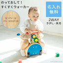 【名前入れ ラッピング無料】 手押し車 赤ちゃん 乗用玩具 のっておして すくすくウォーカー エドインター 出産祝い 木製 木のおもちゃ 名入れ 男の子 女の子 型はめ エドインター 誕生日プレゼント 誕生日 1歳 2歳 男 女 送料無料