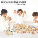 木のおもちゃ ブロック コネクタブル チェイン コビット ボリュームセット 72ピース 除菌 エドインター 出産祝い 誕生日 2歳 3歳 男の子 女の子 送料無料