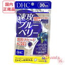 DHC 速攻ブルーベリー 30日分 (60粒入り) 賞味期限2026年10月以降 健康食品