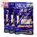 DHC 60日 ブルーベリーエキス 120粒