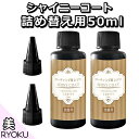 【2本セット】レジン液 コーティング剤 詰め替え用 ボトル 50ml 速乾 シャイニーコート UV LED 仕上げ剤 マニキュア型 アクセサリー パーツ 詰め替えボトル ハンドメイド