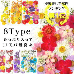 ＼最大30％OFFクーポン有／押し花 ドライフラワー ネイル レジン 押し花キット iphoneケース スタイルステッカー 押花 ギフト 押し花乾燥シート 花材 スワッグ レジン フレーム 髪飾り ブーケ リース 花束【RSL】*