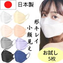 【365日発送】立体マスク 不織布 日本製 お試し5枚 男女
