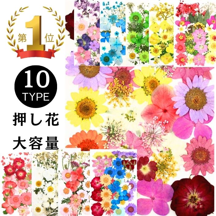 【全品最大20%OFFクーポン】押し花 ドライフラワー レジン アクセサリー 花材 封入 パーツ ネイル 押し花キット iphoneケース スタイルステッカー 押花 ギフト 押し花乾燥シート 花材 スワッグ フレーム 髪飾り 20