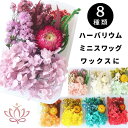 ドライフラワー レジン アクセサリー 花材 ハーバリウム アロマワックス サシェ スワッグ カスミソウ ブーケ 髪飾り 花束 あじさい アクセサリーパーツ フラワー リース プリザーブドフラワーハンドメイド