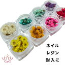 ドライフラワー レジン アクセサリー 花材 小花 アロマワックス サシェ スワッグ カスミソウ ブーケ 髪飾り 花束 あじさい アクセサリーパーツ クリスマス ...