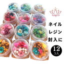 ドライフラワー レジン アクセサリー 花材 12個 セット 福袋 あじさい アロマワックス サシェ スワッグ カスミソウ ブーケ 髪飾り 花束 あじさい アクセ...