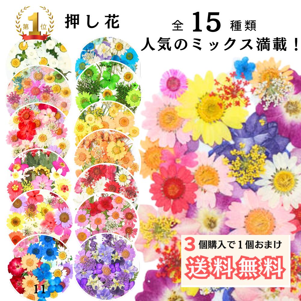 3個購入で+1個おまけ【送料無料】押し花 ドライフラワー ネイル レジン 封入 パーツ ネイル 押し花キット iphoneケー…