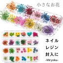 押し花 ドライフラワー レジン アクセサリー 花材 ネイル 押し花キット iphoneケース スタイルステッカー 押花 ギフト 押し花乾燥シート スワッグ レジ...