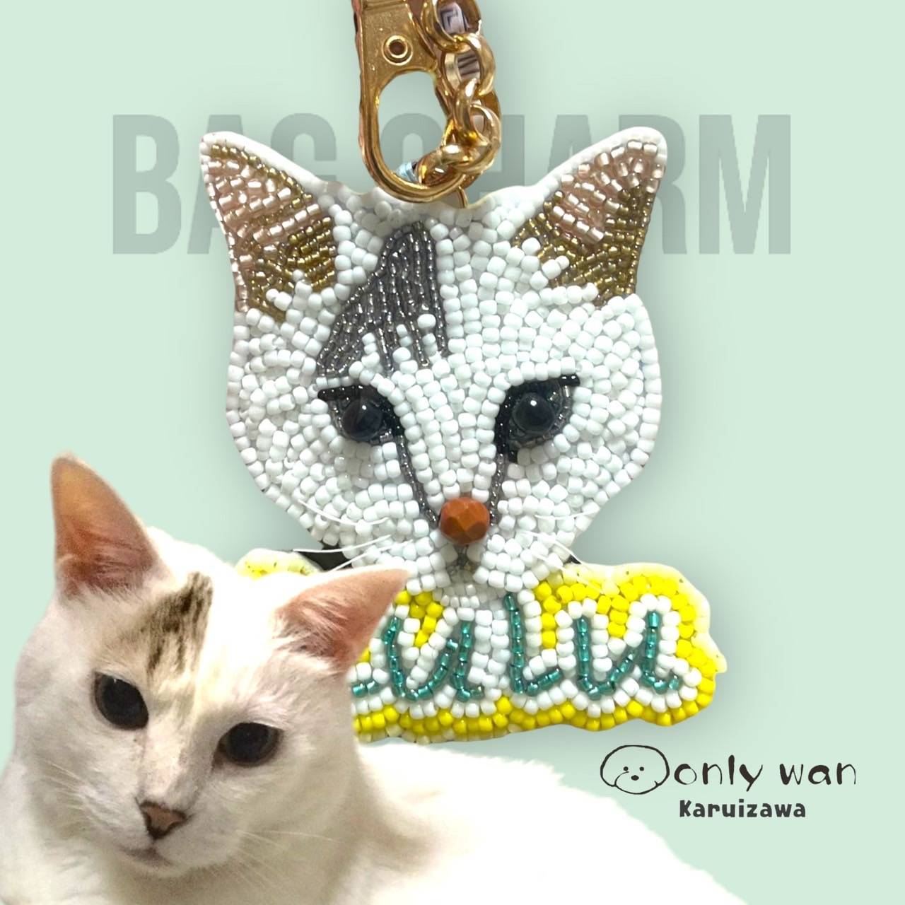 �����λҤ���ܤ�̾���Хå����㡼��ʥӡ����ɽ��˥����ۥ���� �ڥå� ���ꥢ�륰�å� ���ꥸ�ʥ� ���������ᥤ�� �� ǭ �Ҷ� �ץ쥼��� �����ʡ����å� ���襤�� ���ץ饤�� ���٥�� ��ǰ ����� ����� ��Ϸ���� ���ꥢ�� �����Τ���ǰ��