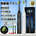 電動歯ブラシ USB充電式 音波歯ブラシ 高速振動 42,000回/分 IPX8防水 本体+替えブラシ 歯垢除去 虫歯予防 歯周病対策 子供 大人 携帯便利 軽量 静音 旅行用 家庭用 2025最新モデル 安全安心 高性能 新品 お買い得