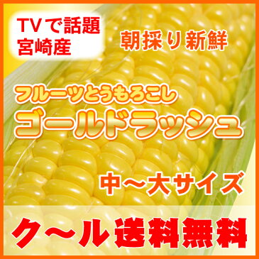 ■TVで話題の宮崎産!4kg送料無料・クール代込!朝もぎ新鮮極甘生で食べれるフルーツ『とうもろこし』・ゴールドラッシュ旬を先取り今食べれるよ!