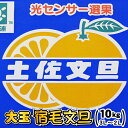 光センサー選果 大玉 宿毛文旦⇒大箱10kg送料無料で甘〜い...