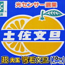 光センサー選果 超大玉 宿毛文旦⇒大箱10kg送料無料で甘〜...