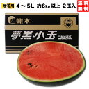 割引クーポン付 夢黒小玉すいか4〜5L（2玉入）約6kg以上 贈答用 熊本産 お中元 父の日