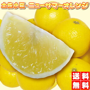 ★600円OFFクーポン付⇒土佐小夏 ニューサマーオレンジ美と健康を維持する高価な、みかん(日向夏)送料無料たっぷり5kg