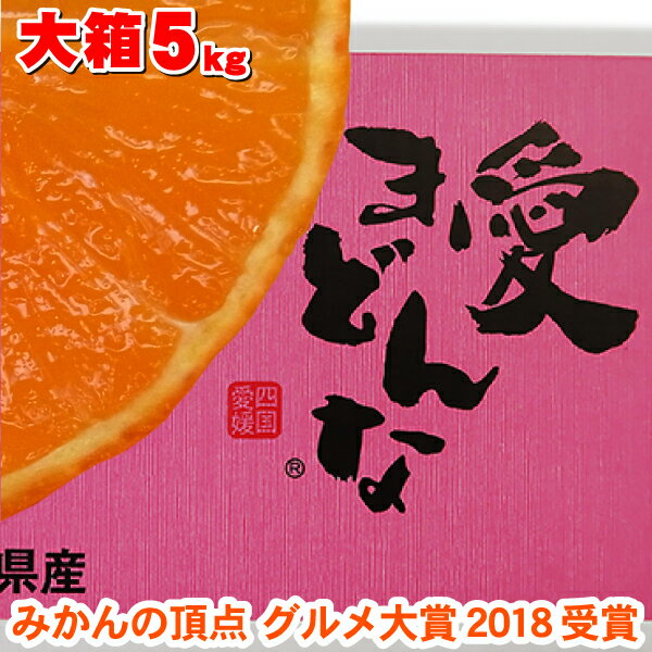 送料無料・お歳暮・紅マドンナ・みかん本日10%OFF 最安値・大箱5kg★愛...