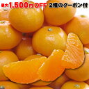 本日★1,500円OFF〜2種のクーポン★ クール ハウスみ
