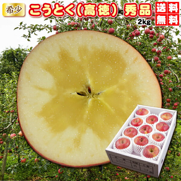 こうとく（高徳）希少りんご⇒おどろきのたっぷりの蜜入保証　贈答用秀品　2kg（10～12玉）　化粧箱入　送料無料　山形県のサムネイル