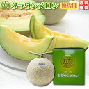 割引クーポン付 静岡 クラウンメロン 1玉入 専用贈答化粧箱 送料無料 お歳暮 ギフト マスクメロン