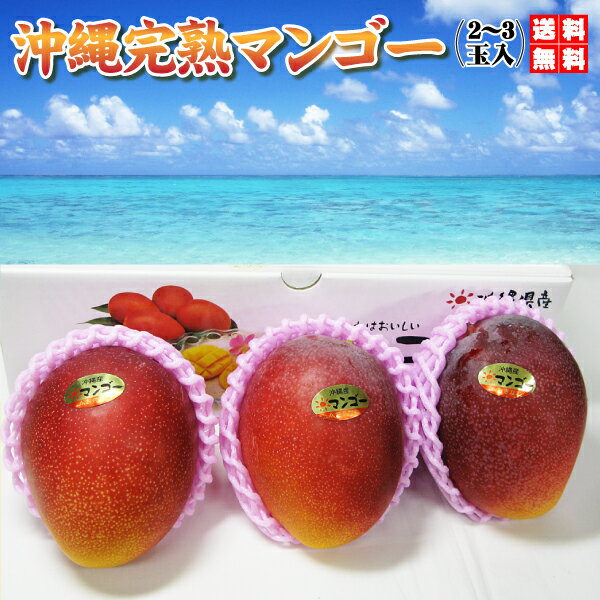 沖縄 トロピカル 完熟マンゴー 900g以上　2〜3玉入（贈答用）送料無料で　お中元　に最適
