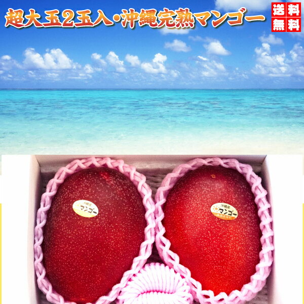 超大玉　沖縄 トロピカル 完熟マンゴー　4LX2玉入 1,1kg以上（贈答用）送料無料で　お中元　に最適