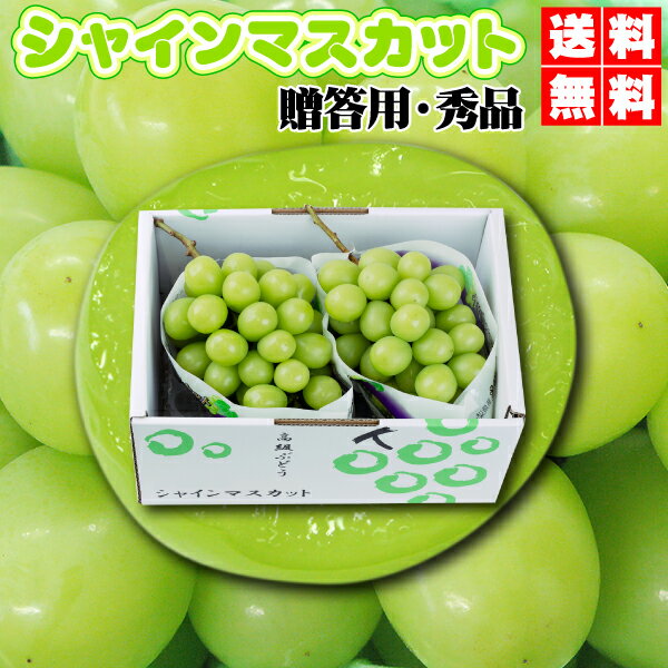 お得！本日発送限定⑮　シャインマスカット粒　送料込み　2,500円