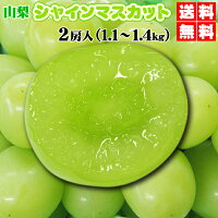 クーポンで最安値★4,161円　山梨直送★大粒シャインマスカット　2房入　たっぷり1,1~1,4kg　★個数限定サービス価格　JAフルーツ山梨直送★1,1~1,4kg　2房入⇒美味鮮度重視シャインマスカット送料無料でワイン発祥の山梨より直送！