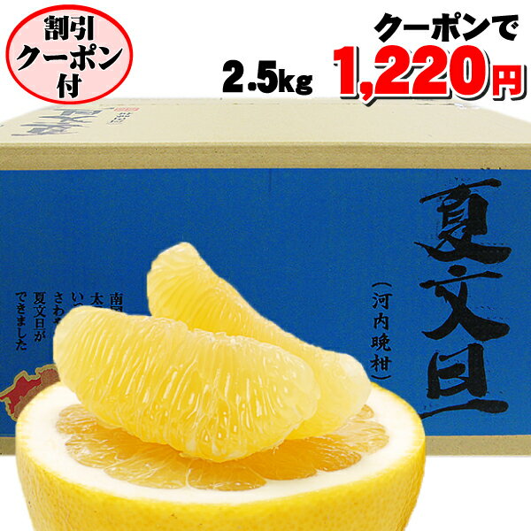 割引クーポン付で1,220円★たっぷり2.5kg　夏文旦　TVで話題の食べる天然ジュース！夏文旦必見2注文以上で送料無料・増量サービス付愛媛産愛媛みかん