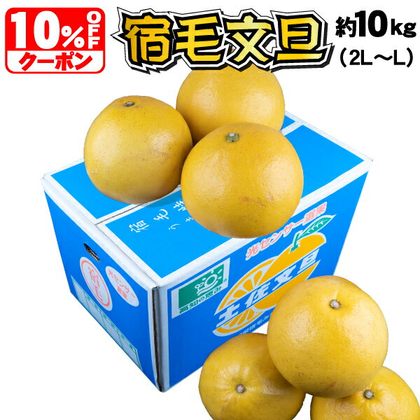 本日クーポンで10%OFF　10kg 大玉2L～L　宿毛文旦（土佐文旦）　JA光センサー選果 大玉　宿毛文旦　送料無料で甘〜い、ぶんたん宿毛文旦(すくもぶんたん)（2L〜L）高知宿毛産　土佐文旦のサムネイル