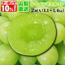 本日10%OFFクーポンで4,482円 山梨直送★大粒シャインマスカット 2房入 たっぷり1,1~1,4kg ★個数限定サービス価格 JAフルーツ山梨直送★1,...