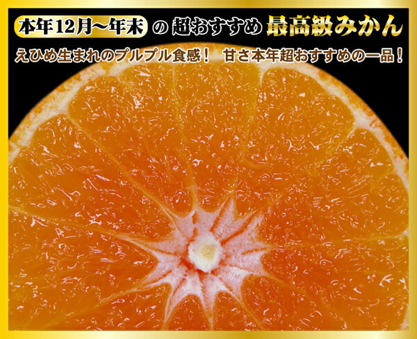 本日も激安続行⇒クーポンで3,880円⇒3kgじゃないよ！大箱5kgで赤字覚悟！！！【送料無料】今マスコミで話題の！愛まどんな（紅マドンナ）大箱5kg（家庭用）