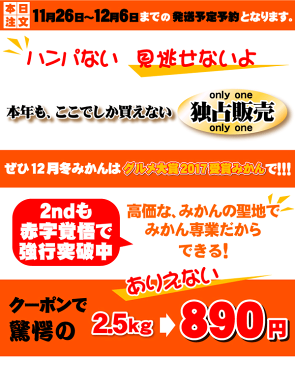 ★本日238円OFFクーポンで⇒890円激安■みかんの頂点グルメ大賞受賞★★2017年最も売れたみかん独占販売★えひめ西宇和みかんの聖地でみかん専業だから冬味・こたつみかん！2注文で送料無料(訳あり家庭用)愛媛ミカン