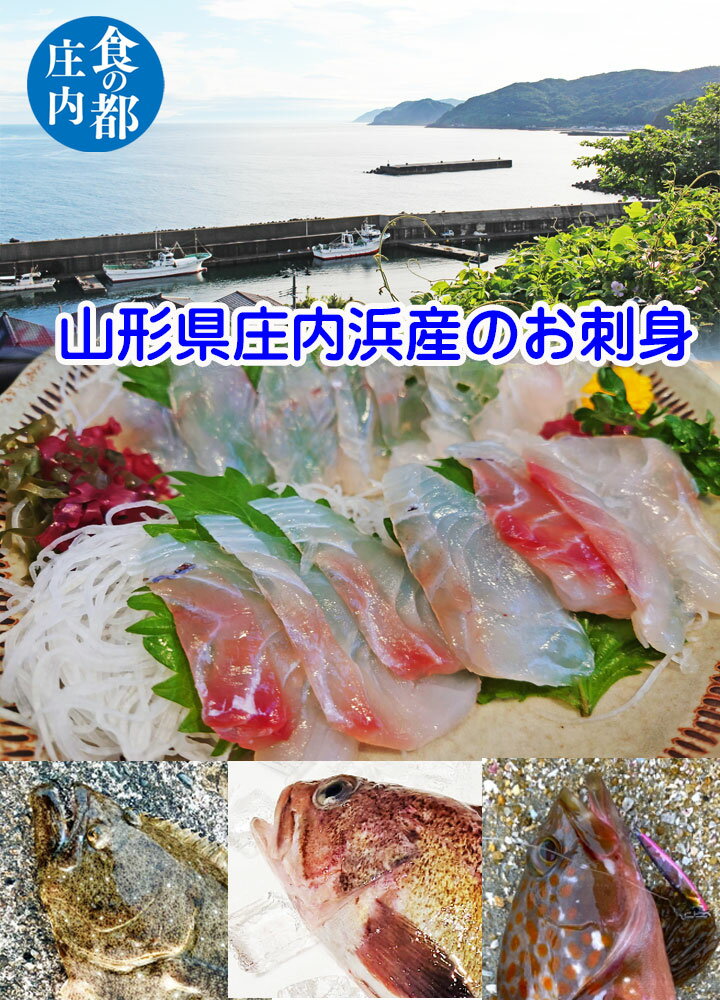 【刺身】旬の 刺し身 おまかせ3種セット冷凍 山形県庄内浜産 【刺し身】盛り合わせ ギフト プレゼント 食の都庄内