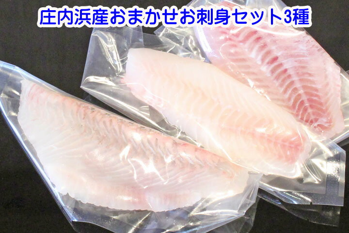 【刺身】旬の 刺し身 おまかせ3種セット冷凍 山形県庄内浜産 【刺し身】盛り合わせ ギフト プレゼント 食の都庄内